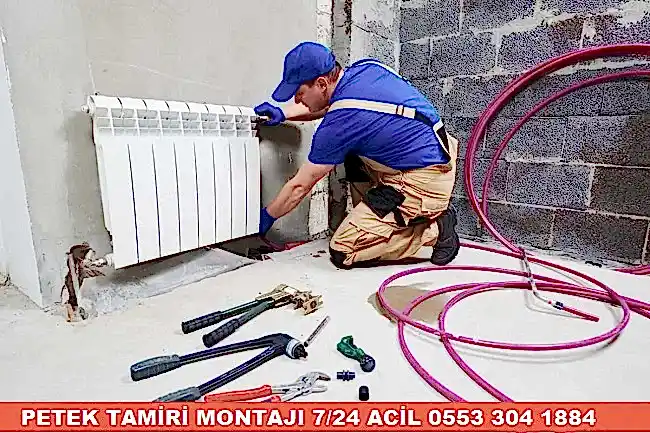 Sincan Petek Temizliği ve Tamiri